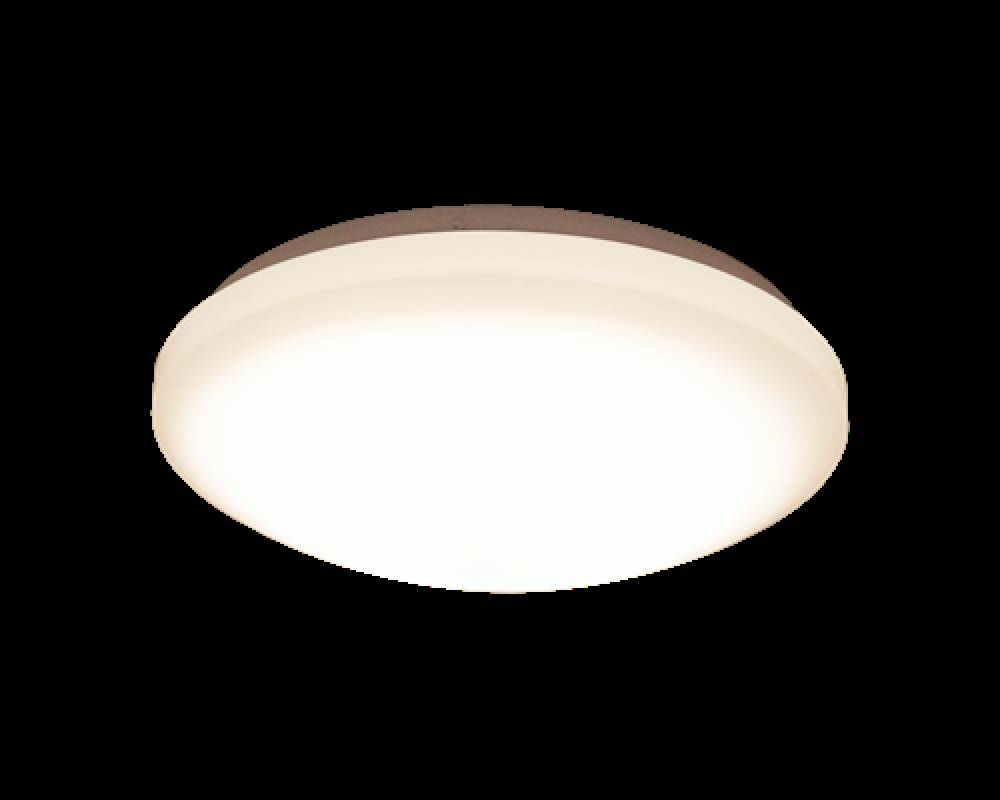 Scanlamp Basic Takplafond